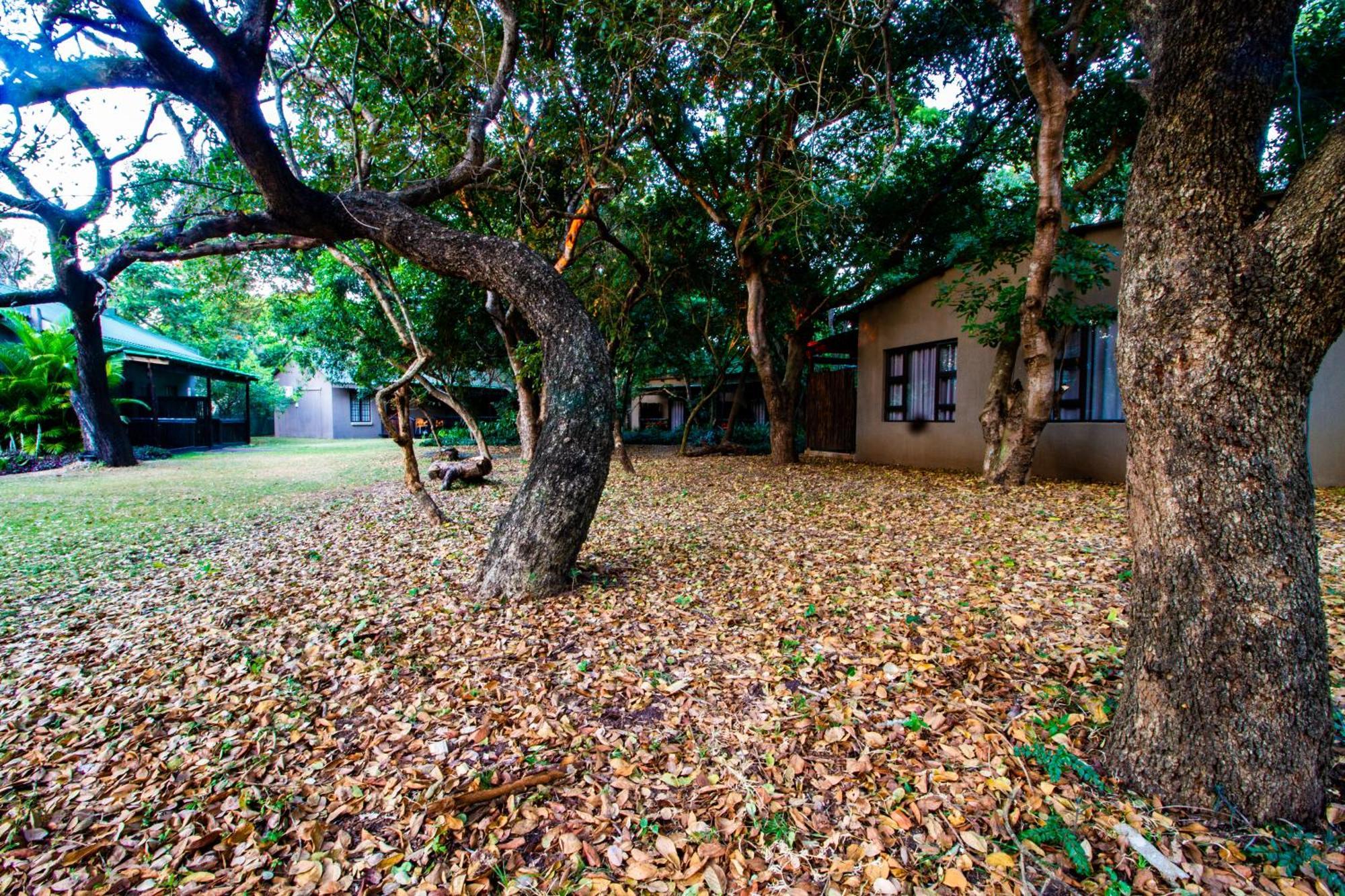 Emdoneni Lodge With Zululand Cat Conservation Project Hluhluwe Exteriér fotografie