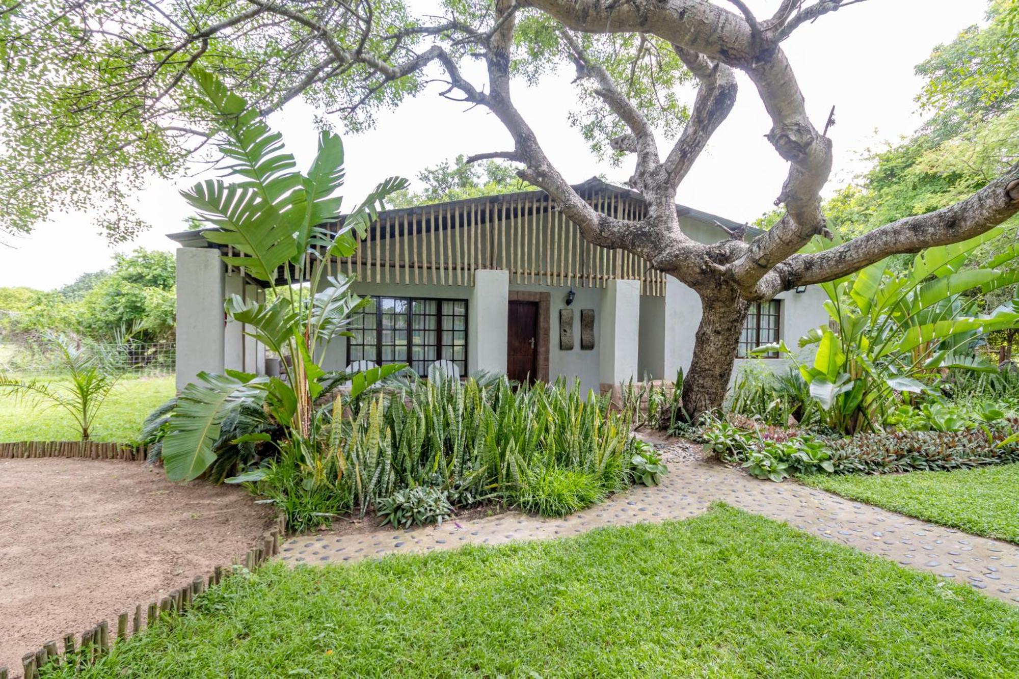 Emdoneni Lodge With Zululand Cat Conservation Project Hluhluwe Exteriér fotografie