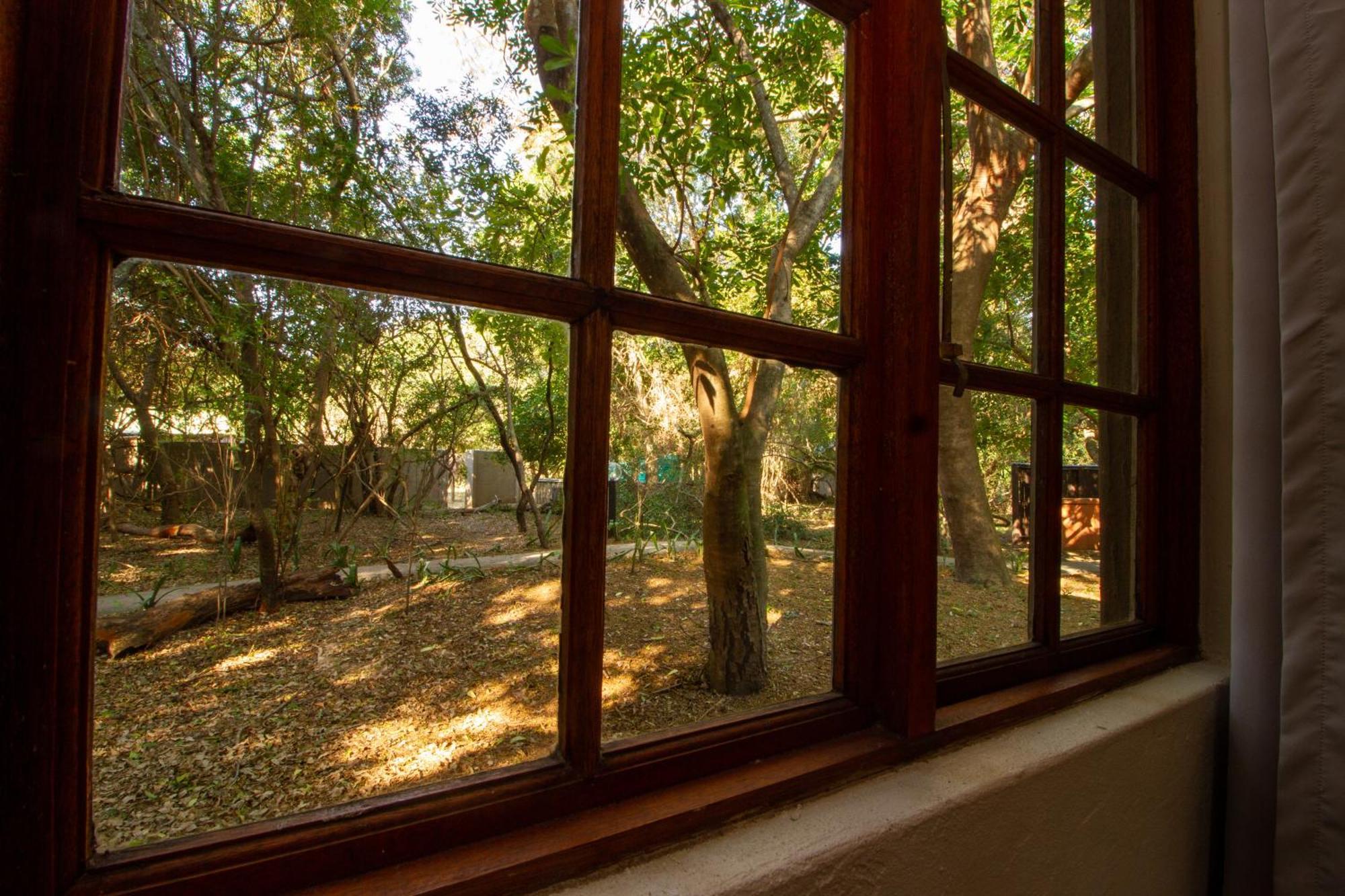 Emdoneni Lodge With Zululand Cat Conservation Project Hluhluwe Exteriér fotografie