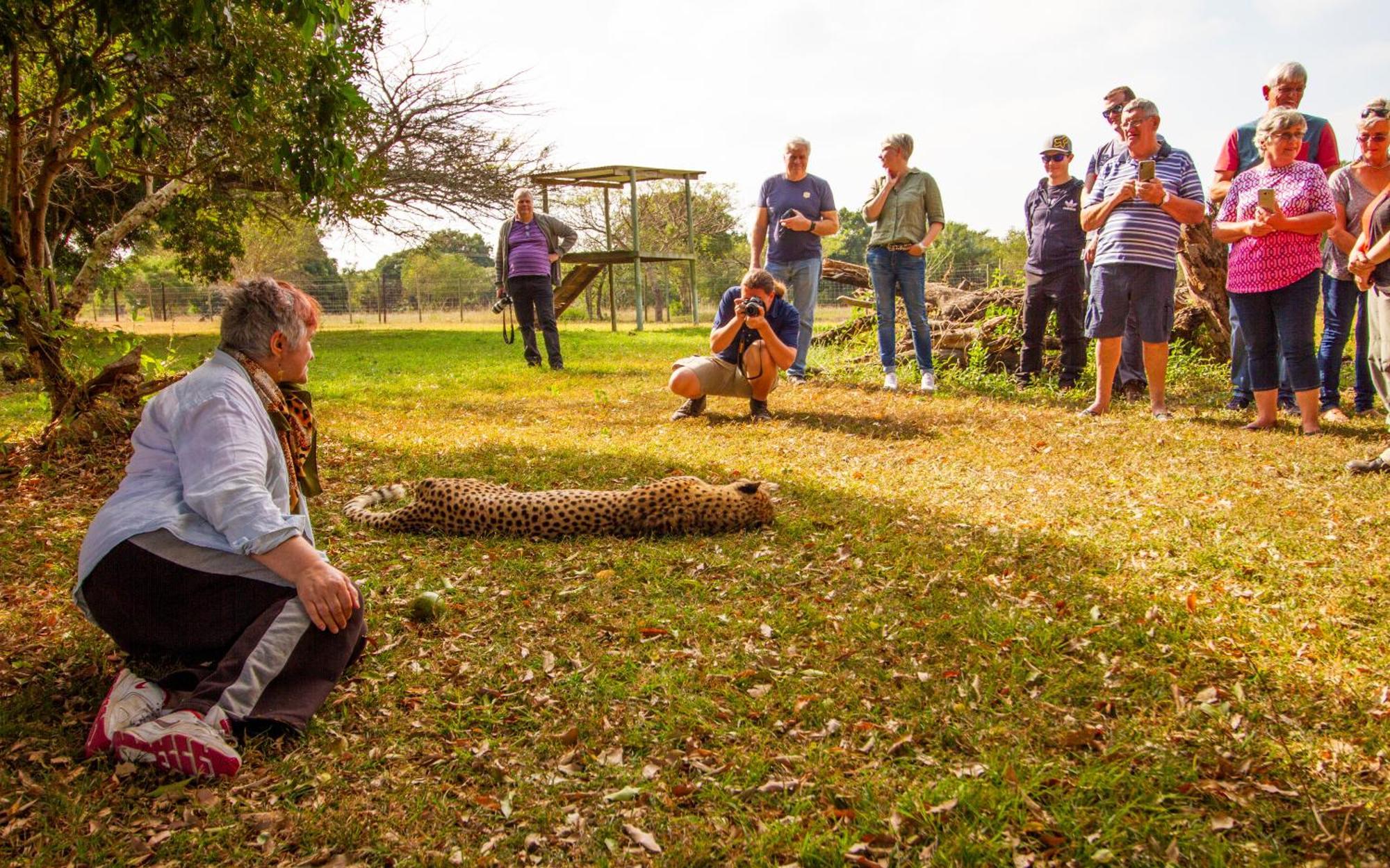 Emdoneni Lodge With Zululand Cat Conservation Project Hluhluwe Exteriér fotografie